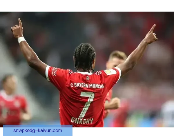 格纳布里职业生涯表现稳健，未来发展值得关注。